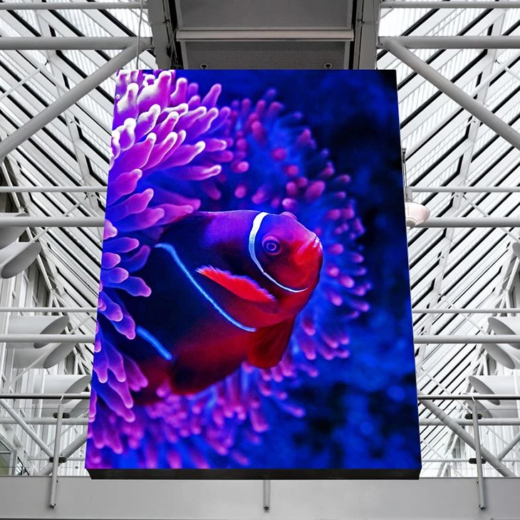 Dye Sublimation Black Back Backdrop Fabric